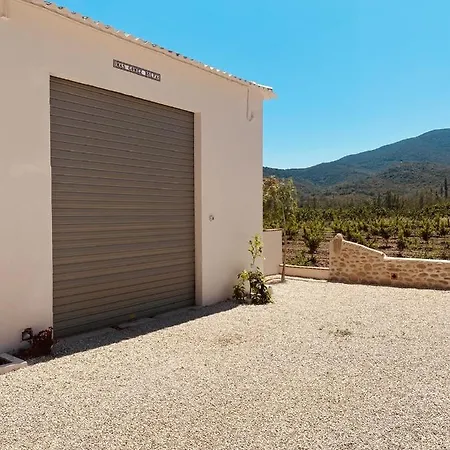 Mas Gomez Bolfa Bouleternere