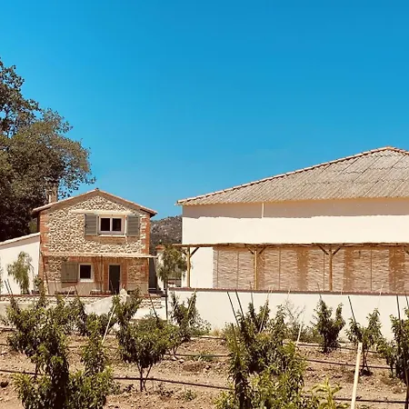 Holiday home Mas Gomez Bolfa