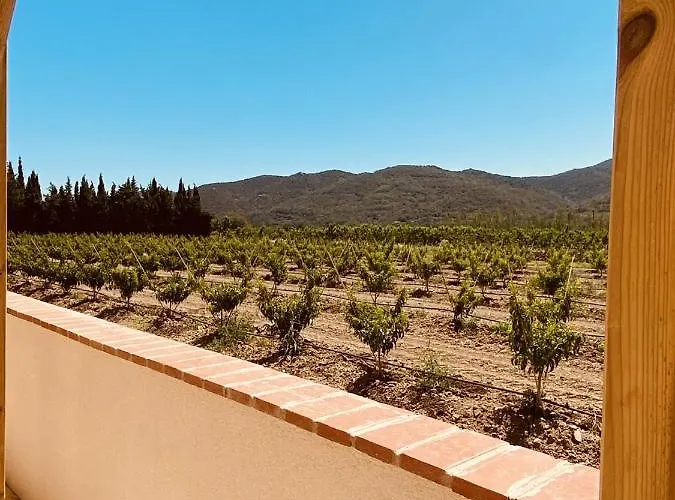 بيت للعطل Mas Gomez Bolfa *