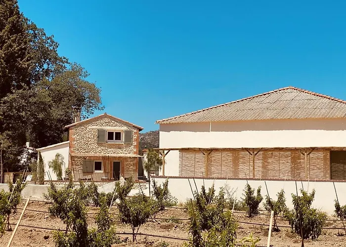 بيت للعطل Mas Gomez Bolfa